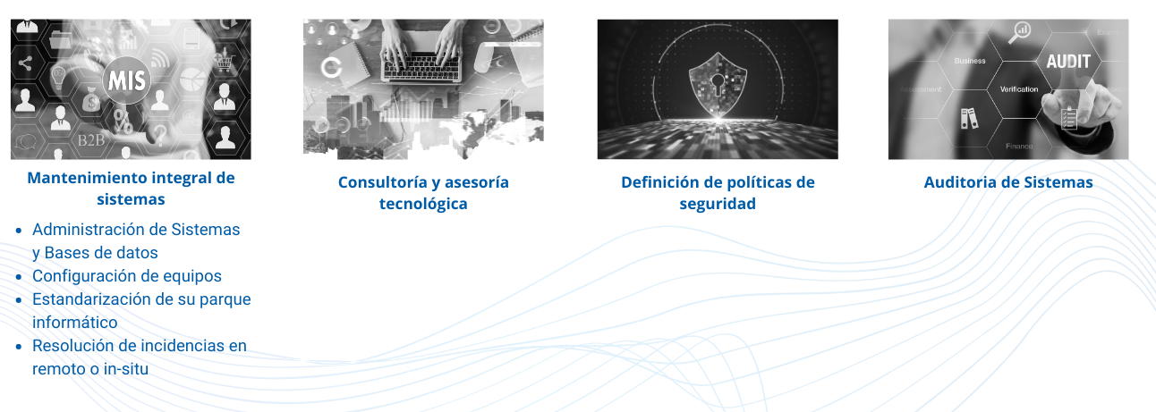 Servicios Tecnologicos